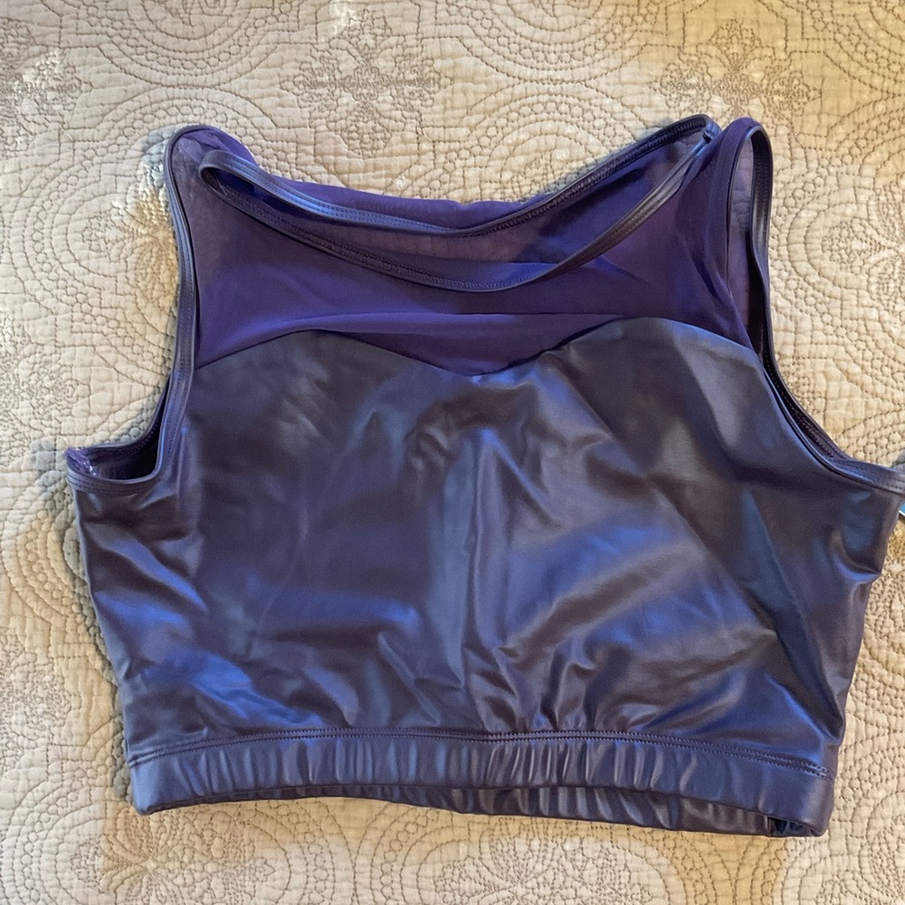 Purple Mesh Metalic Sports Bra